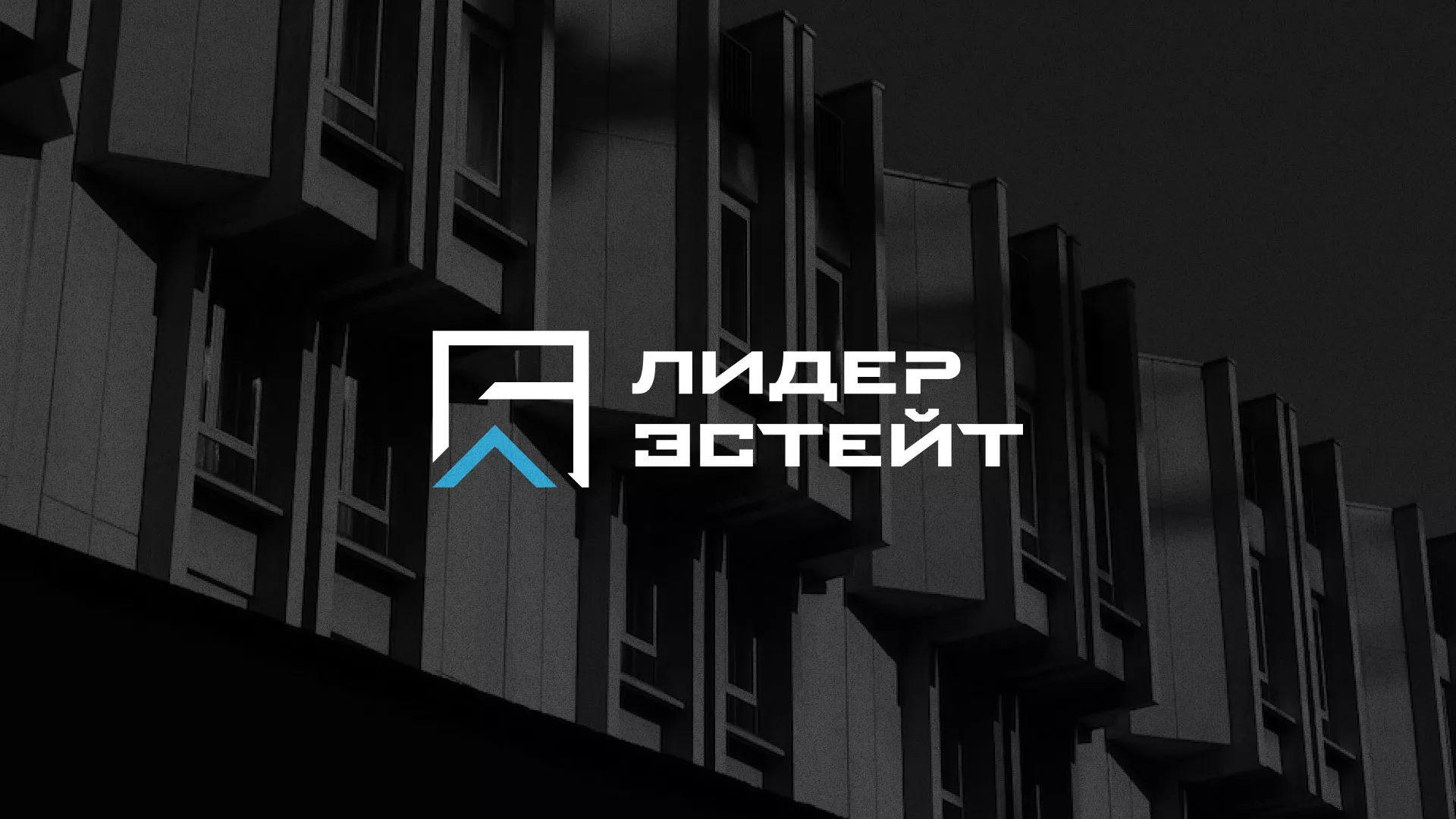 Разработка логотипа агентства недвижимости «Лидер Эстейт» в Правдинске